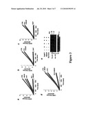 Use of Hepatitis B X-Interacting Protein (HBXIP) in Modulation of Apoptosis diagram and image