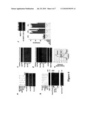 Use of Hepatitis B X-Interacting Protein (HBXIP) in Modulation of Apoptosis diagram and image