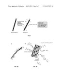 M13 Bacteriophage as A Chemoaddressable Nanoparticle for Biological and Medical Applications diagram and image