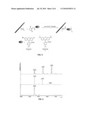 M13 Bacteriophage as A Chemoaddressable Nanoparticle for Biological and Medical Applications diagram and image