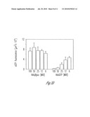 siRNA-MEDIATED GENE SILENCING WITH VIRAL VECTORS diagram and image