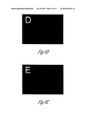 siRNA-MEDIATED GENE SILENCING WITH VIRAL VECTORS diagram and image