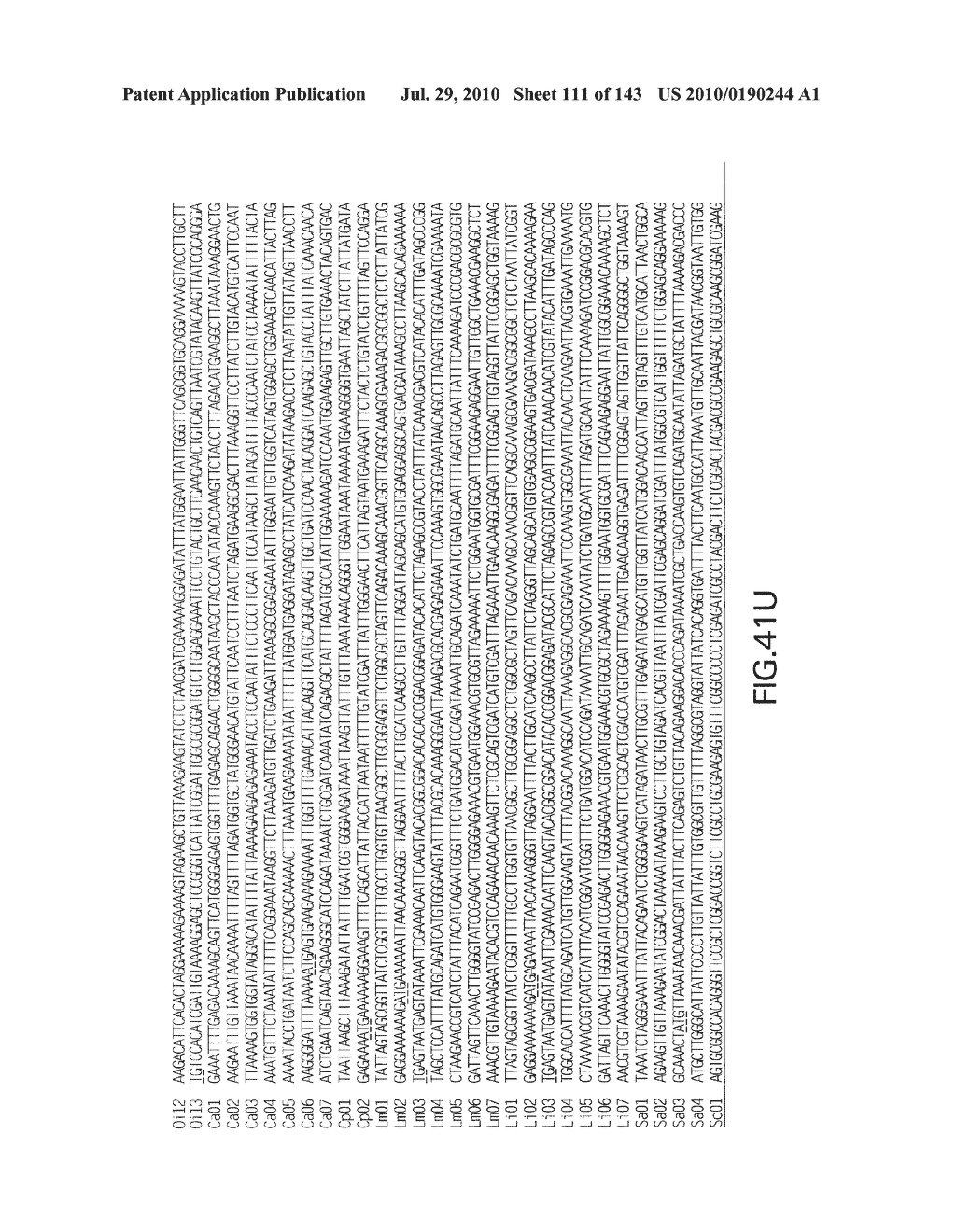 RIBOSWITCHES, METHODS FOR THEIR USE, AND COMPOSITIONS FOR USE WITH RIBOSWITCHES - diagram, schematic, and image 112