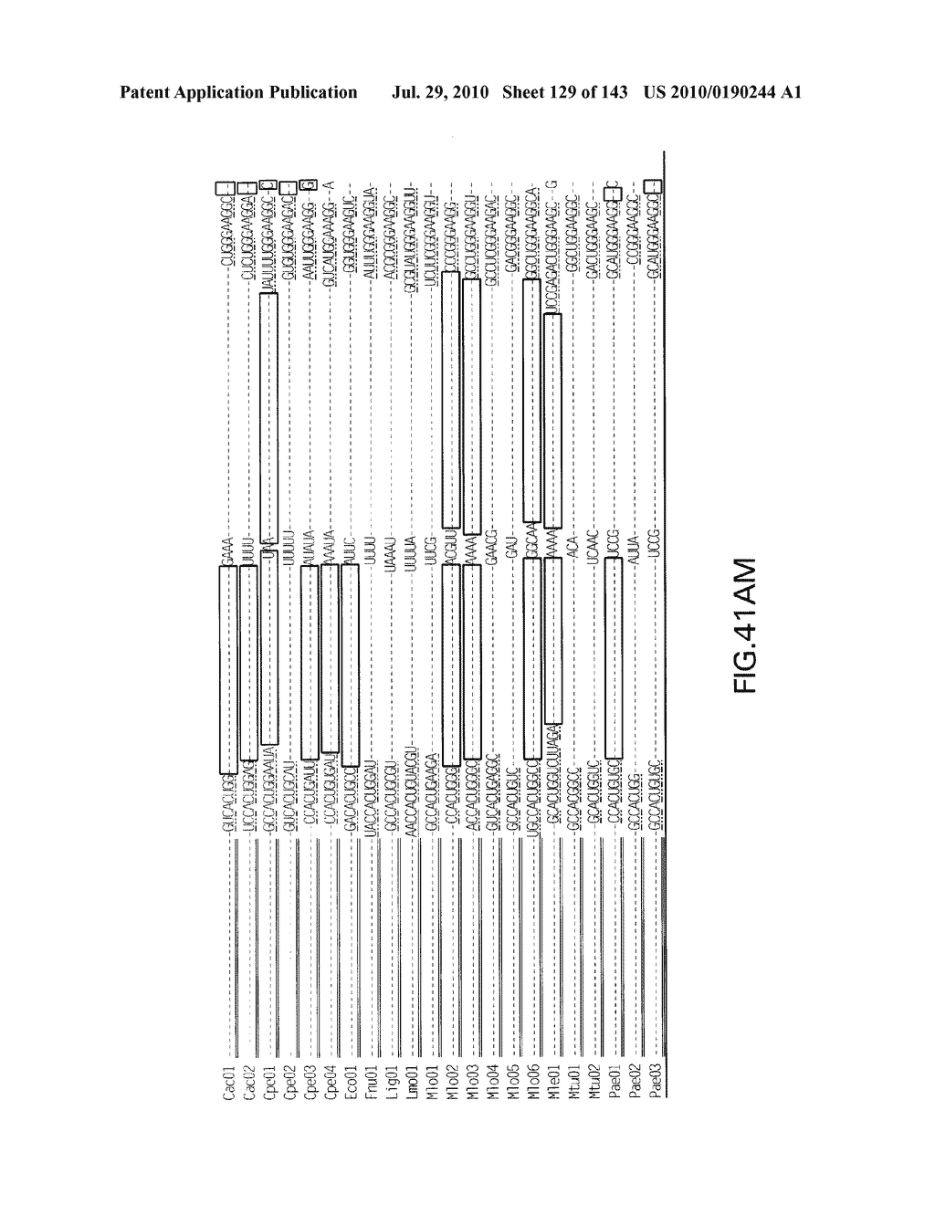 RIBOSWITCHES, METHODS FOR THEIR USE, AND COMPOSITIONS FOR USE WITH RIBOSWITCHES - diagram, schematic, and image 130