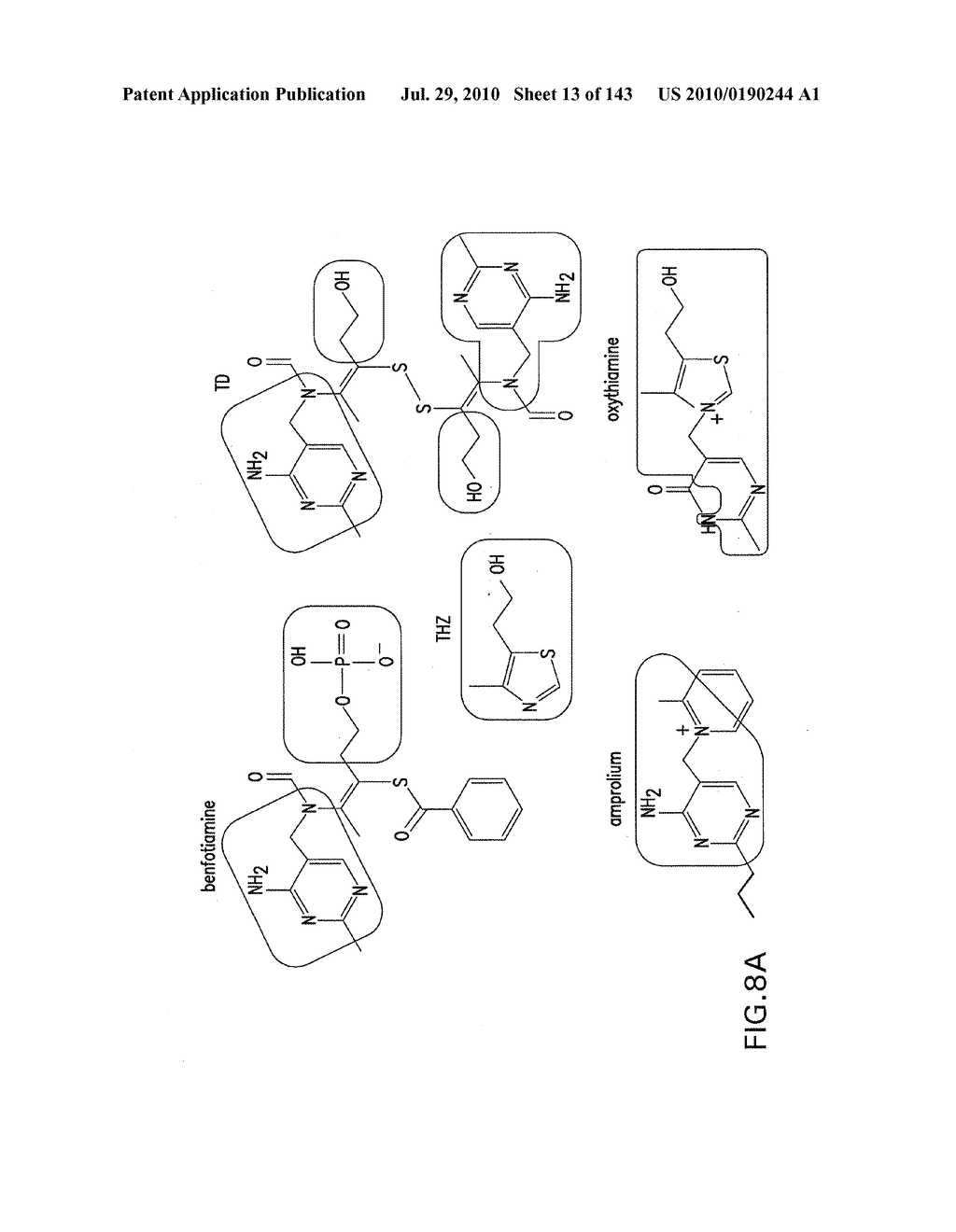 RIBOSWITCHES, METHODS FOR THEIR USE, AND COMPOSITIONS FOR USE WITH RIBOSWITCHES - diagram, schematic, and image 14