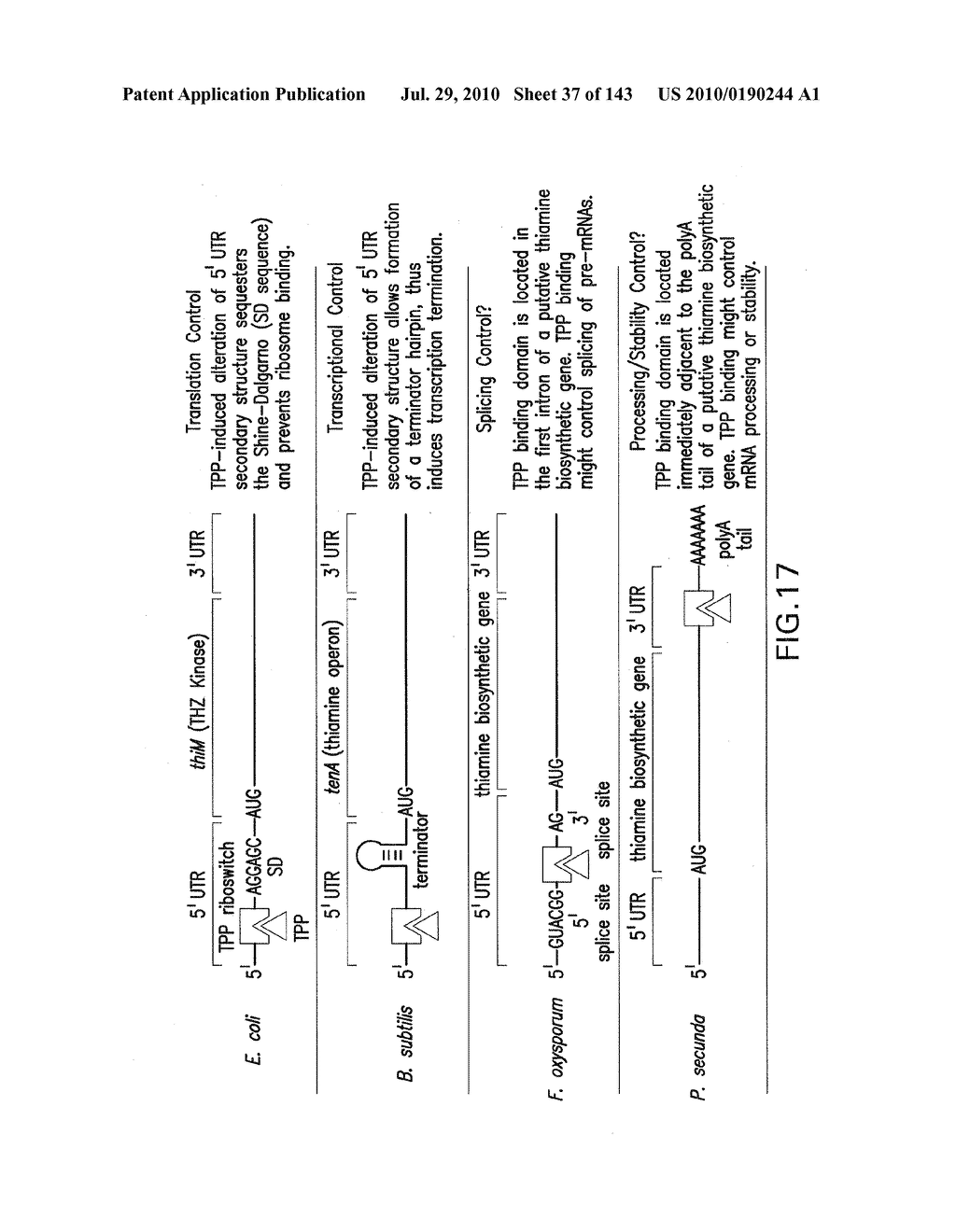 RIBOSWITCHES, METHODS FOR THEIR USE, AND COMPOSITIONS FOR USE WITH RIBOSWITCHES - diagram, schematic, and image 38