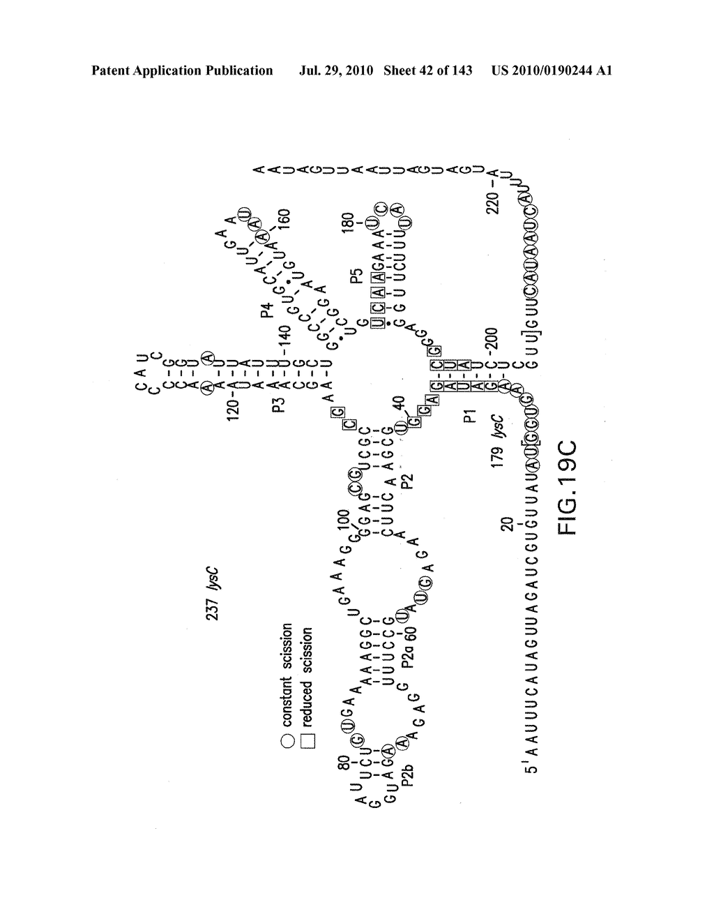 RIBOSWITCHES, METHODS FOR THEIR USE, AND COMPOSITIONS FOR USE WITH RIBOSWITCHES - diagram, schematic, and image 43