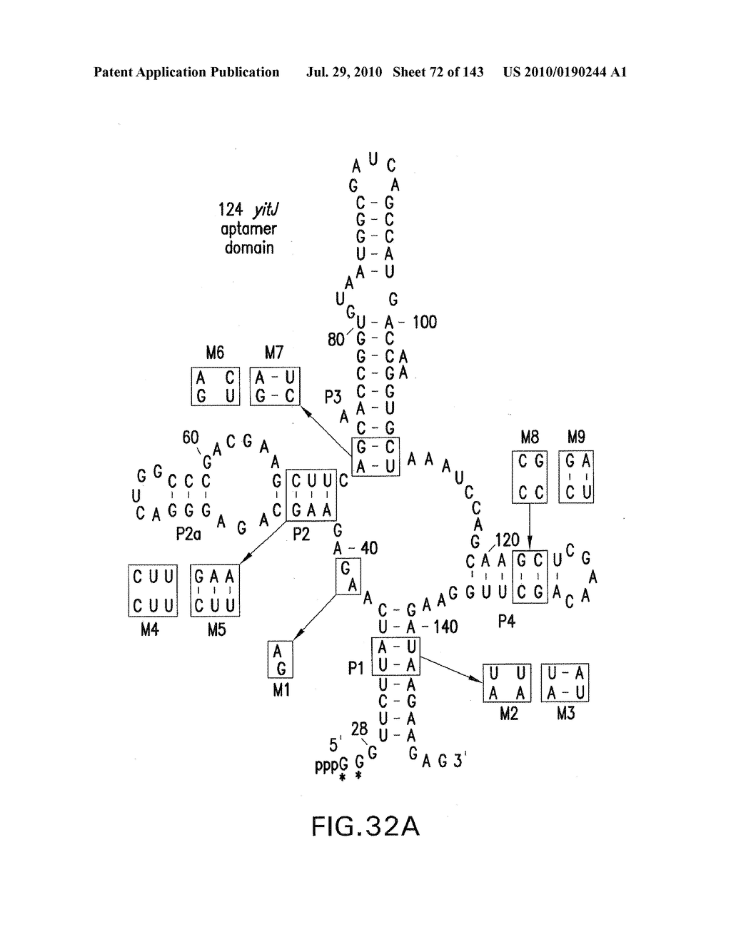 RIBOSWITCHES, METHODS FOR THEIR USE, AND COMPOSITIONS FOR USE WITH RIBOSWITCHES - diagram, schematic, and image 73