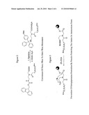 Methods, Compositions And Libraries Pertaining To PNA Dimer And PNA Oligomer Synthesis diagram and image