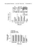 UNDERCARBOXYLATED/UNCARBOXYLATED OSTEOCALCIN INCREASES BETA-CELL PROLIFERATION, INSULIN SECRETION, INSULIN SENSITIVITY, GLUCOSE TOLERANCE AND DECREASES FAT MASS diagram and image