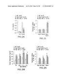 UNDERCARBOXYLATED/UNCARBOXYLATED OSTEOCALCIN INCREASES BETA-CELL PROLIFERATION, INSULIN SECRETION, INSULIN SENSITIVITY, GLUCOSE TOLERANCE AND DECREASES FAT MASS diagram and image