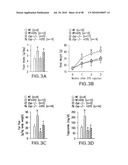 UNDERCARBOXYLATED/UNCARBOXYLATED OSTEOCALCIN INCREASES BETA-CELL PROLIFERATION, INSULIN SECRETION, INSULIN SENSITIVITY, GLUCOSE TOLERANCE AND DECREASES FAT MASS diagram and image