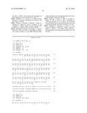 UNDERCARBOXYLATED/UNCARBOXYLATED OSTEOCALCIN INCREASES BETA-CELL PROLIFERATION, INSULIN SECRETION, INSULIN SENSITIVITY, GLUCOSE TOLERANCE AND DECREASES FAT MASS diagram and image