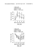 UNDERCARBOXYLATED/UNCARBOXYLATED OSTEOCALCIN INCREASES BETA-CELL PROLIFERATION, INSULIN SECRETION, INSULIN SENSITIVITY, GLUCOSE TOLERANCE AND DECREASES FAT MASS diagram and image