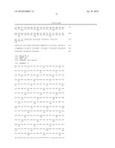 UNDERCARBOXYLATED/UNCARBOXYLATED OSTEOCALCIN INCREASES BETA-CELL PROLIFERATION, INSULIN SECRETION, INSULIN SENSITIVITY, GLUCOSE TOLERANCE AND DECREASES FAT MASS diagram and image