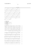 UNDERCARBOXYLATED/UNCARBOXYLATED OSTEOCALCIN INCREASES BETA-CELL PROLIFERATION, INSULIN SECRETION, INSULIN SENSITIVITY, GLUCOSE TOLERANCE AND DECREASES FAT MASS diagram and image