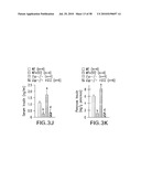 UNDERCARBOXYLATED/UNCARBOXYLATED OSTEOCALCIN INCREASES BETA-CELL PROLIFERATION, INSULIN SECRETION, INSULIN SENSITIVITY, GLUCOSE TOLERANCE AND DECREASES FAT MASS diagram and image