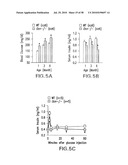 UNDERCARBOXYLATED/UNCARBOXYLATED OSTEOCALCIN INCREASES BETA-CELL PROLIFERATION, INSULIN SECRETION, INSULIN SENSITIVITY, GLUCOSE TOLERANCE AND DECREASES FAT MASS diagram and image