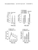 UNDERCARBOXYLATED/UNCARBOXYLATED OSTEOCALCIN INCREASES BETA-CELL PROLIFERATION, INSULIN SECRETION, INSULIN SENSITIVITY, GLUCOSE TOLERANCE AND DECREASES FAT MASS diagram and image