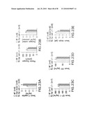 UNDERCARBOXYLATED/UNCARBOXYLATED OSTEOCALCIN INCREASES BETA-CELL PROLIFERATION, INSULIN SECRETION, INSULIN SENSITIVITY, GLUCOSE TOLERANCE AND DECREASES FAT MASS diagram and image