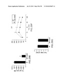 UNDERCARBOXYLATED/UNCARBOXYLATED OSTEOCALCIN INCREASES BETA-CELL PROLIFERATION, INSULIN SECRETION, INSULIN SENSITIVITY, GLUCOSE TOLERANCE AND DECREASES FAT MASS diagram and image