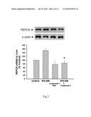 USE OF PTEROSIN COMPOUNDS FOR TREATING DIABETES AND OBESITY diagram and image