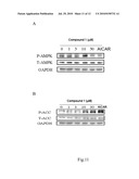 USE OF PTEROSIN COMPOUNDS FOR TREATING DIABETES AND OBESITY diagram and image