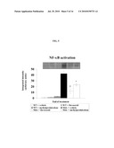 Methods of Treating Muscular Dystrophies diagram and image