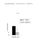 Methods of Treating Muscular Dystrophies diagram and image