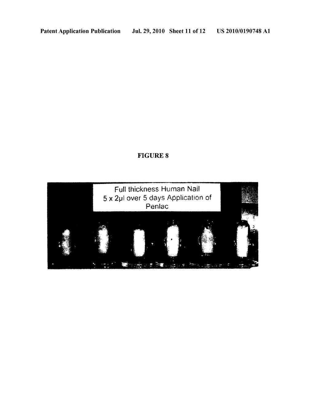 BORON-CONTAINING SMALL MOLECULES - diagram, schematic, and image 12