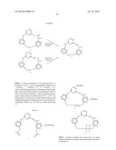 MACROCYCLIC COMPOUNDS AND THEIR USE AS KINASE INHIBITORS diagram and image