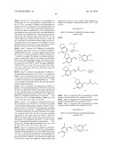 GPR120 RECEPTOR AGONISTS AND USES THEREOF diagram and image