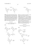 GPR120 RECEPTOR AGONISTS AND USES THEREOF diagram and image