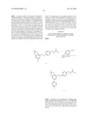 GPR120 RECEPTOR AGONISTS AND USES THEREOF diagram and image