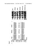 TISSUE SPECIFIC GENE THERAPY TREATMENT diagram and image