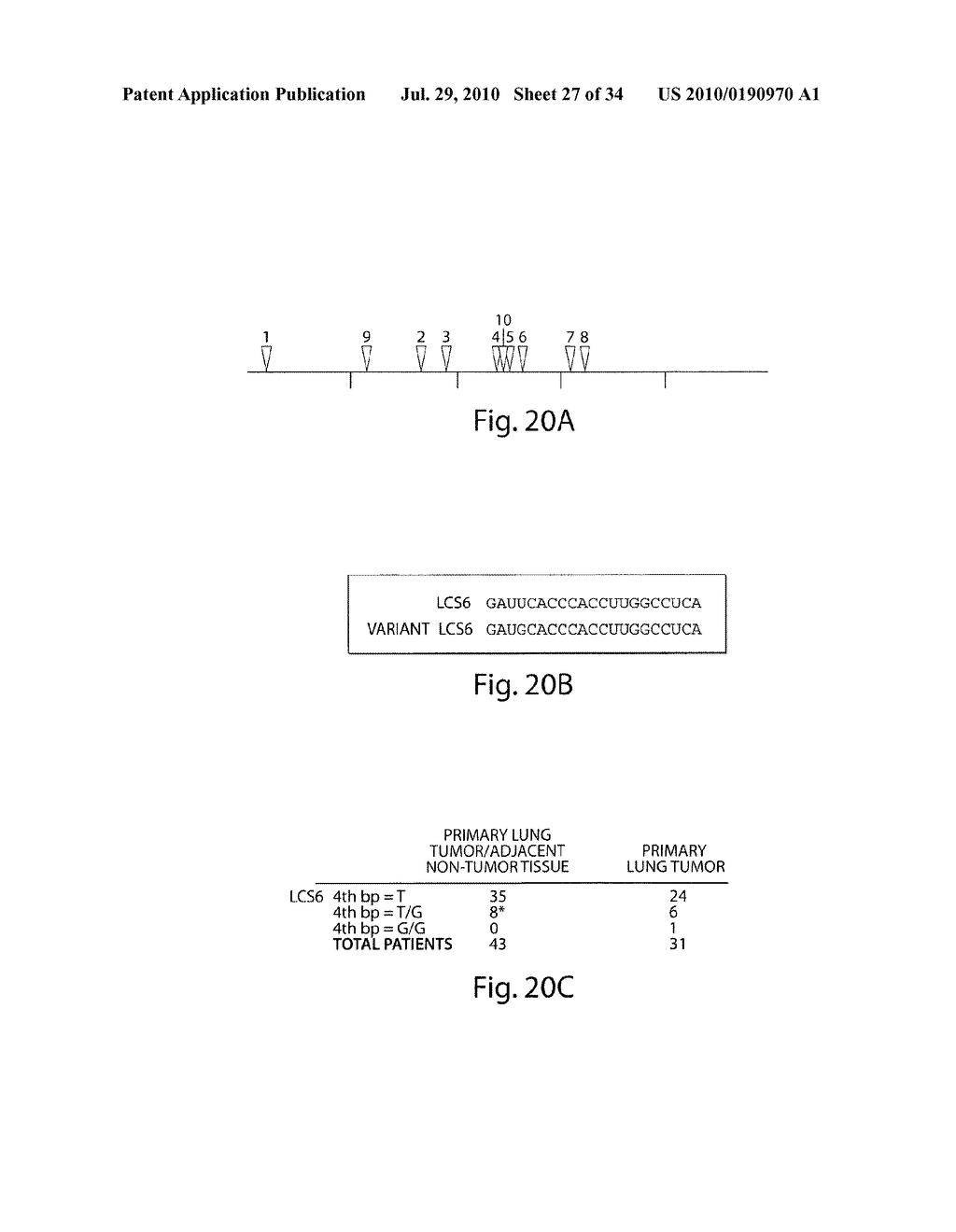 GENETIC LESION ASSOCIATED WITH CANCER - diagram, schematic, and image 28