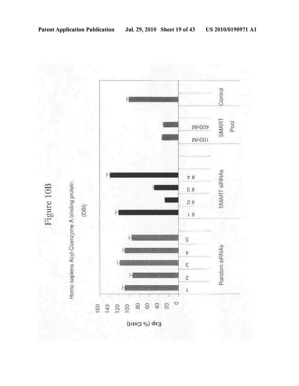 siRNA Targeting Diacylglycerol O-Acyltransferase Homolog 2 (DGAT2) - diagram, schematic, and image 20