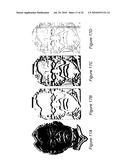 SYSTEM AND METHOD FOR USING THREE DIMENSIONAL INFRARED IMAGING TO PROVIDE PSYCHOLOGICAL PROFILES OF INDIVIDUALS diagram and image