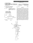 Passive ossicle prosthesis comprising applicator diagram and image