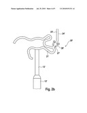 Passive ossicle prosthesis comprising applicator diagram and image