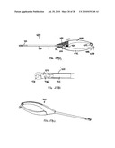 Articulating humeral Head Prosthesis diagram and image