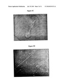 ELECTRONIC NOSE DEVICE WITH SENSORS COMPOSED OF NANOWIRES OF COLUMNAR DISCOTIC LIQUID CRYSTALS WITH LOW SENSITITIVE TO HUMIDITY diagram and image