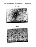 ELECTRONIC NOSE DEVICE WITH SENSORS COMPOSED OF NANOWIRES OF COLUMNAR DISCOTIC LIQUID CRYSTALS WITH LOW SENSITITIVE TO HUMIDITY diagram and image