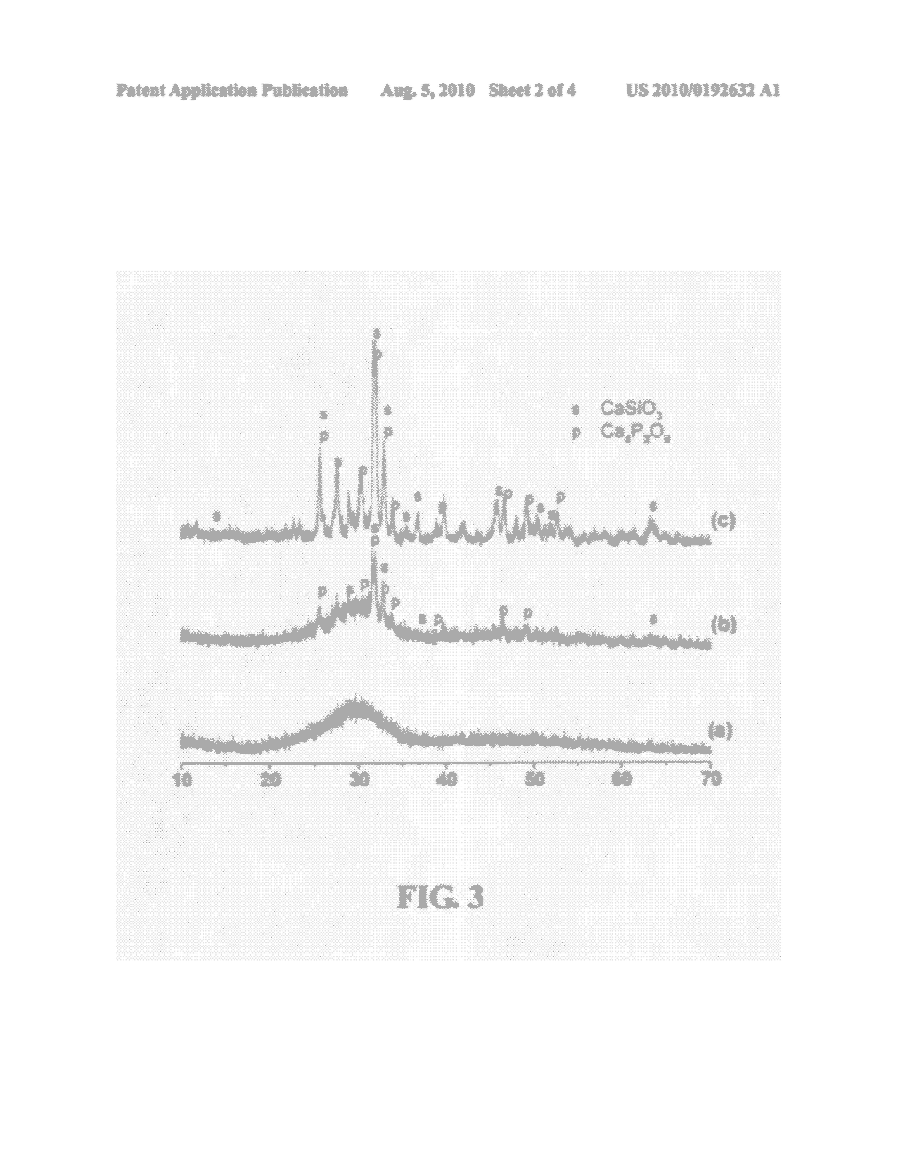 Resorbable macroporous bioactive glass scaffold and method of manufacture - diagram, schematic, and image 03