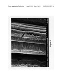 CNT-INFUSED GLASS FIBER MATERIALS AND PROCESS THEREFOR diagram and image