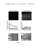 APPARATUS AND METHOD FOR INTERLEAVING DETECTION OF FLUORESCENCE AND LUMINESCENCE diagram and image