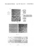 PLANAR NEMATIC LIQUID CRYSTAL CELLS DOPED WITH NANOPARTICLES AND METHODS OF INDUCING A FREEDERICKSZ TRANSITION diagram and image