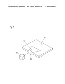 SURFACE LIGHT SOURCE APPARATUS diagram and image