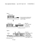 PLASTIC FLAT DISPLAY AND METHOD FOR MANUFACTURING SAME diagram and image