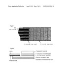 PLASTIC FLAT DISPLAY AND METHOD FOR MANUFACTURING SAME diagram and image